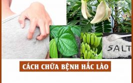 Chữa hắc lào tại nhà bằng mẹo dân gian