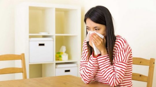 Viêm mũi dị ứng