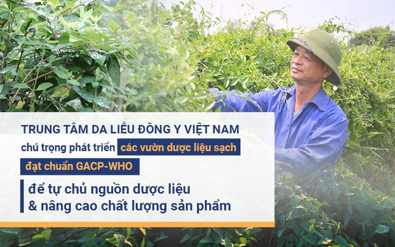 Viện Da liễu Hà Nội - Sài Gòn đẩy mạnh phát triển các vườn dược liệu sạch