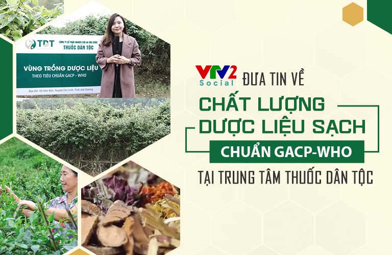 VTV2 đưa tin về chất lượng nguồn dược liệu Thuốc dân tộc