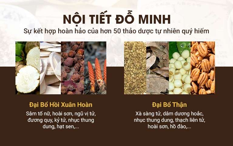 Bài thuốc Nội tiết Đỗ Minh là sự kết hợp hoàn hảo hơn 50 loại thảo dược quý từ tự nhiên
