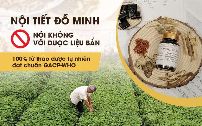 Nhà thuốc Đỗ Minh Đường cam kết nói không với dược liệu bẩn