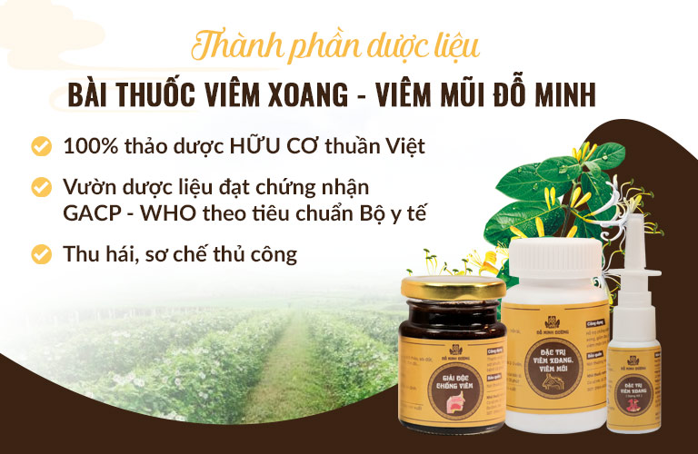 Bài thuốc nam được làm từ thảo dược sạch thuần Việt – Mang đến sự an toàn cho người bệnh