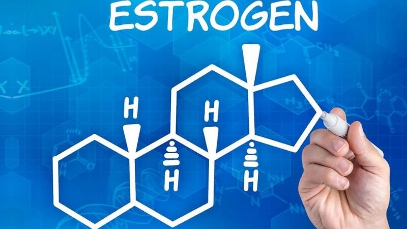 Hormone estrogen bị suy giảm