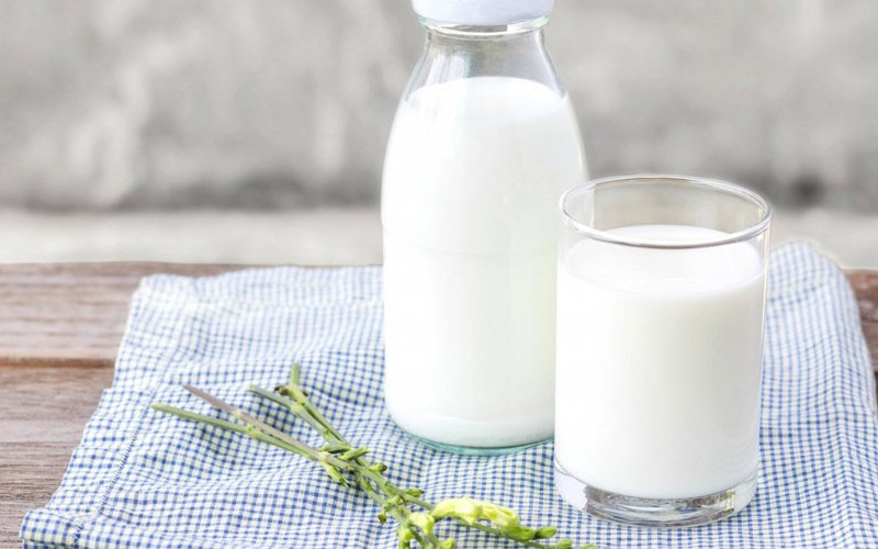 Thường xuyên uống sữa giúp giảm chứng ợ hơi, ợ nóng