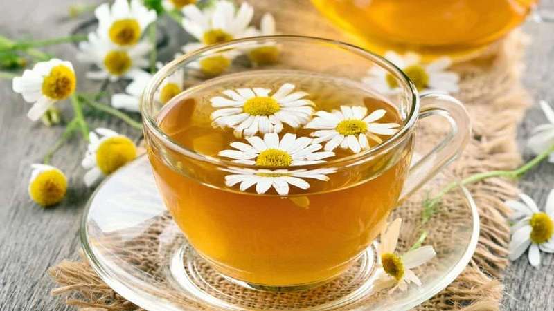 Thừa axit dạ dày nên ăn gì? Không bỏ qua chính là trà hoa cúc