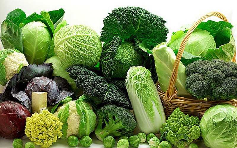 Thừa axit dạ dày nên ăn gì? Rau cải xanh tốt cho dạ dày