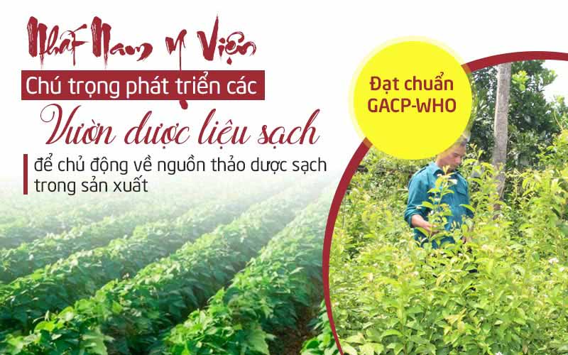 Trung tâm Da liễu Đông y Việt Nam chú trọng phát triển các vườn dược liệu sạch đạt chuẩn tại nhiều vùng miền trên cả nước