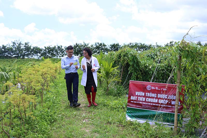Thành phần của Vương Phi đảm bảo đạt chất lượng cao tại vườn dược liệu chuẩn GACP-WHO